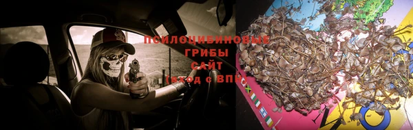 хмурый Алзамай