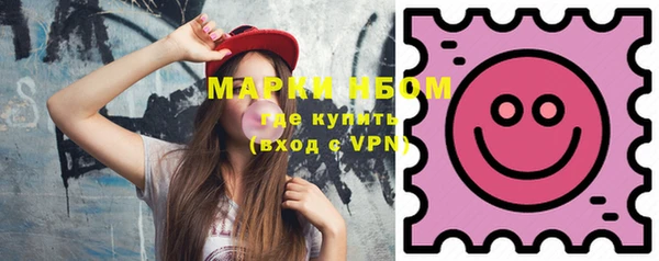 хмурый Алзамай