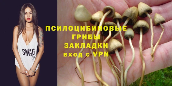 хмурый Алзамай