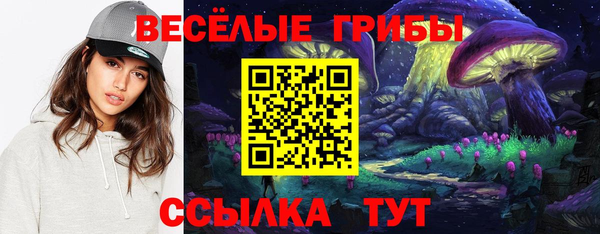 Старый Оскол  купить   Вход с VPN  Псилоцибиновые грибы MAGIC MUSHROOMS 